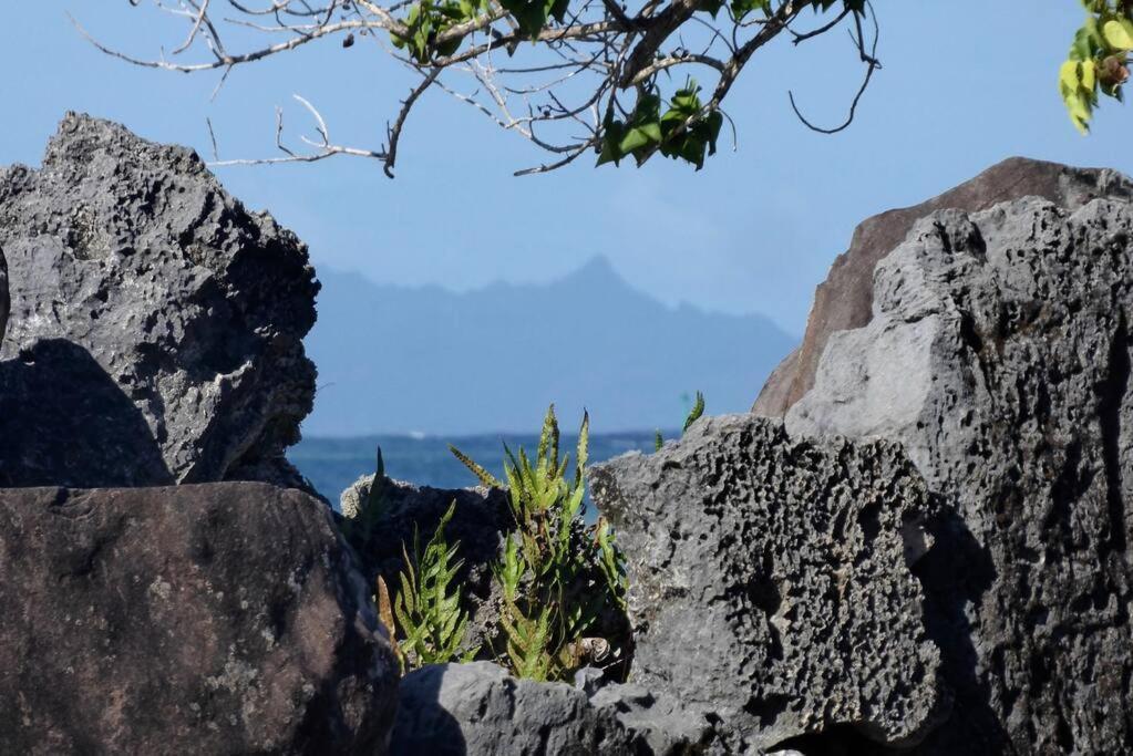 Raiatea, Opoa, Studio Du Fare Reve, Acces Mer Privatif Exterior photo